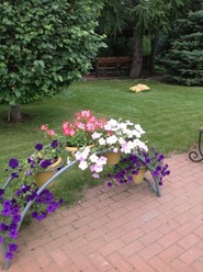 Фото компании  Маленький Париж, ресторан 6