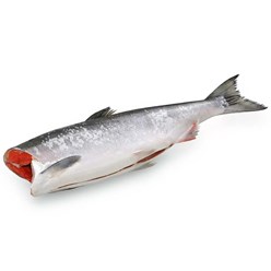 Фото компании  Miato 40