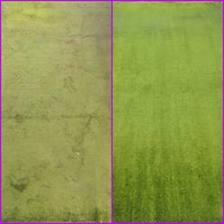 Фото компании ООО Фабрика стирки ковров 1