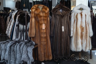 Фото компании  Меховая фабрика "Эдита" 11