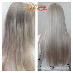 Фото компании  Дикая Орхидея 8