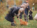 Фото компании  Ново-Переделкино 1
