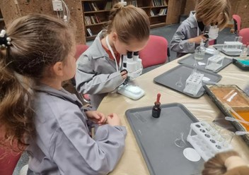 Программа Sciencely.Ростов в детском саду