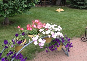 Фото компании  Маленький Париж, ресторан 6