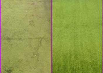 Фото компании ООО Фабрика стирки ковров 1