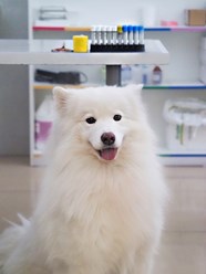 Фото компании  Веда 9