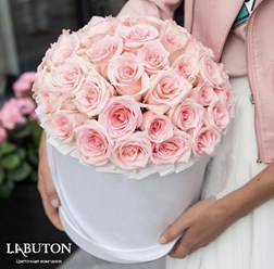 Фото компании ИП LABUTON 2