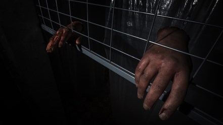 Фото компании ООО QUEST666 1