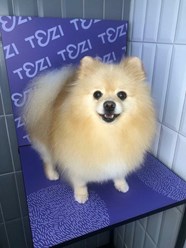 Фото компании  TEZI Grooming 8