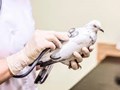 Фото компании ООО Белый Бим на Пловдинской 5