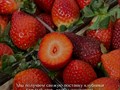 Фото компании  Berry Present 5
