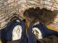 Фото компании  Ремонт обуви 3