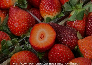 Фото компании  Berry Present 5