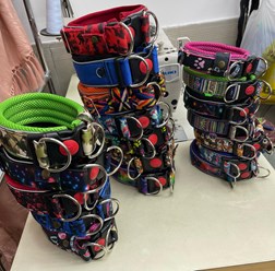 Фото компании Самозанятый Пес в пальто 15