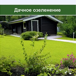 Семена газонных трав для "Дачного" озеленения. ТД Зеленая лужайка