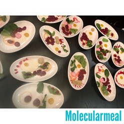 Фото компании  MolecularMeal 1