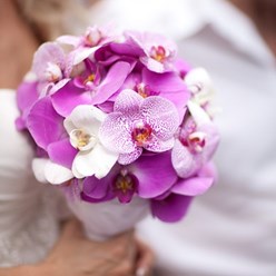 Фото компании  Флора 1