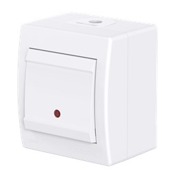 Выключатель одноклавишный CADUCEUS ALING POWER для открытой проводки, с индикацией при включении, 16АХ, 250В~