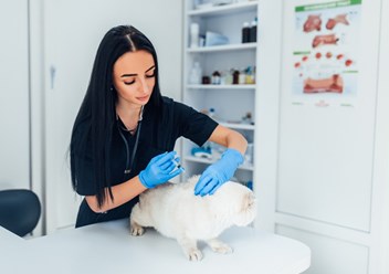 Фото компании  Ветеринарный центр "Балу" 2