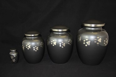 Фото компании  «РасВет» 22