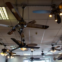 Фото компании  Dreamfan 13