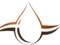Нафталан Турс