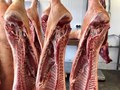 Фото компании ООО Анелия 3