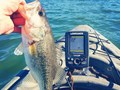 Фото компании  "Lowrance" пункт выдачи в г. Пермь 5
