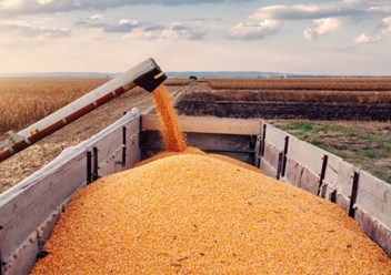 По статистике Ассоциации, более 80% контрактов по купле-продаже зерновых заключаются именно на основании ее проформ