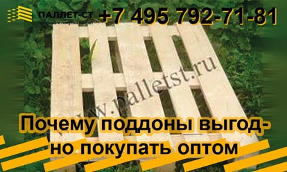 Фото компании ООО ПАЛЛЕТ-СТ 38