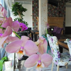 Фото компании  Cavalli, ресторан 36