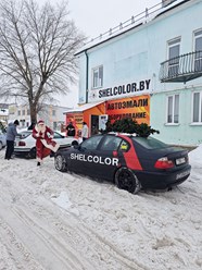 Фото компании  Shelcolor 6