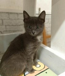 Фото компании  Зоогостиница "Маяк" 6