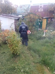 Покос травы на частном дачном участке