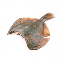 Фото компании ООО Ланафиш 4