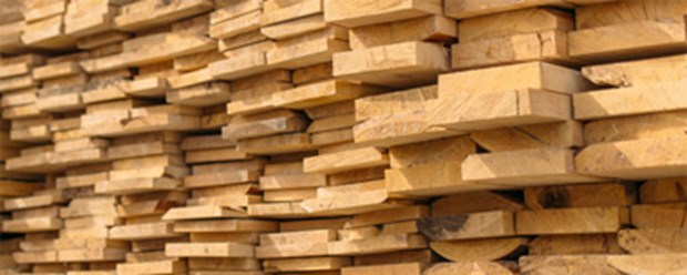 Фото компании ИП Дары леса 2