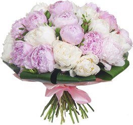 Фото компании ООО Studio Floristic 1