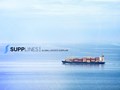 Компания САПП Лайнс имеет прямые контракты с морскими линиями. Это позволяет нам предоставлять вам услуги морских перевозок по наиболее конкурентоспособным тарифам.