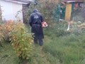 Покос травы на частном дачном участке