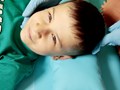 Фото компании  Разноцветные Цыплята 5