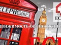 Фото компании ИП Единая Служба Недвижимости 1