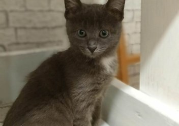 Фото компании  Зоогостиница "Маяк" 6