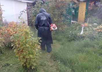 Покос травы на частном дачном участке