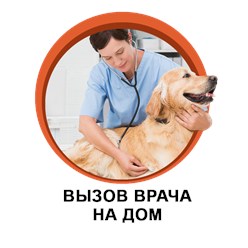Фото компании ООО Рыжий лис 3