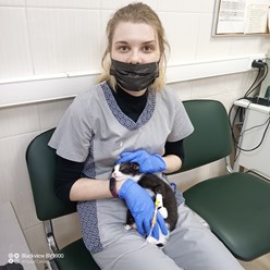 Ветеринарный фельдшер-стоматолог Безручко Александра Андреевна