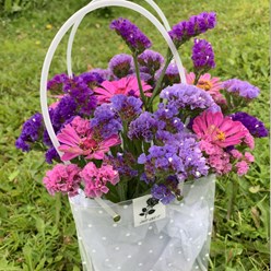 Статица Полевской