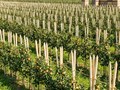 Фото компании  Кудрава 6