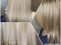 Фото компании  Дикая Орхидея 4