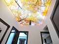 Фото компании  Потолки СПб 3