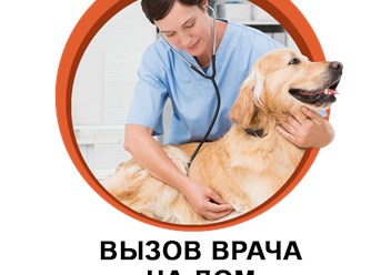Фото компании ООО Рыжий лис 3